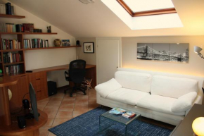 Bright penthouse close to center with terrace and lake view